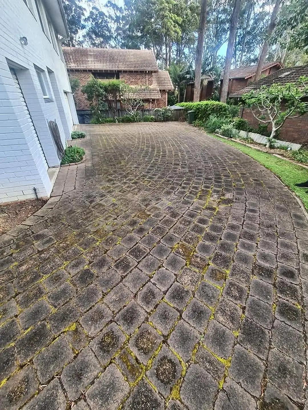 Cobble paver driveway covered in moss and black mould