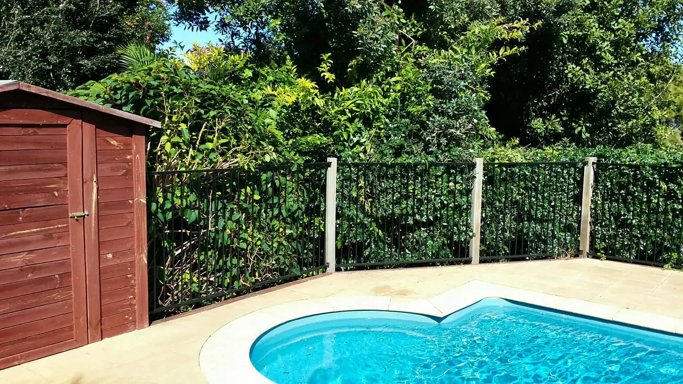 Hedge along a pool fence, trimmed neat and even