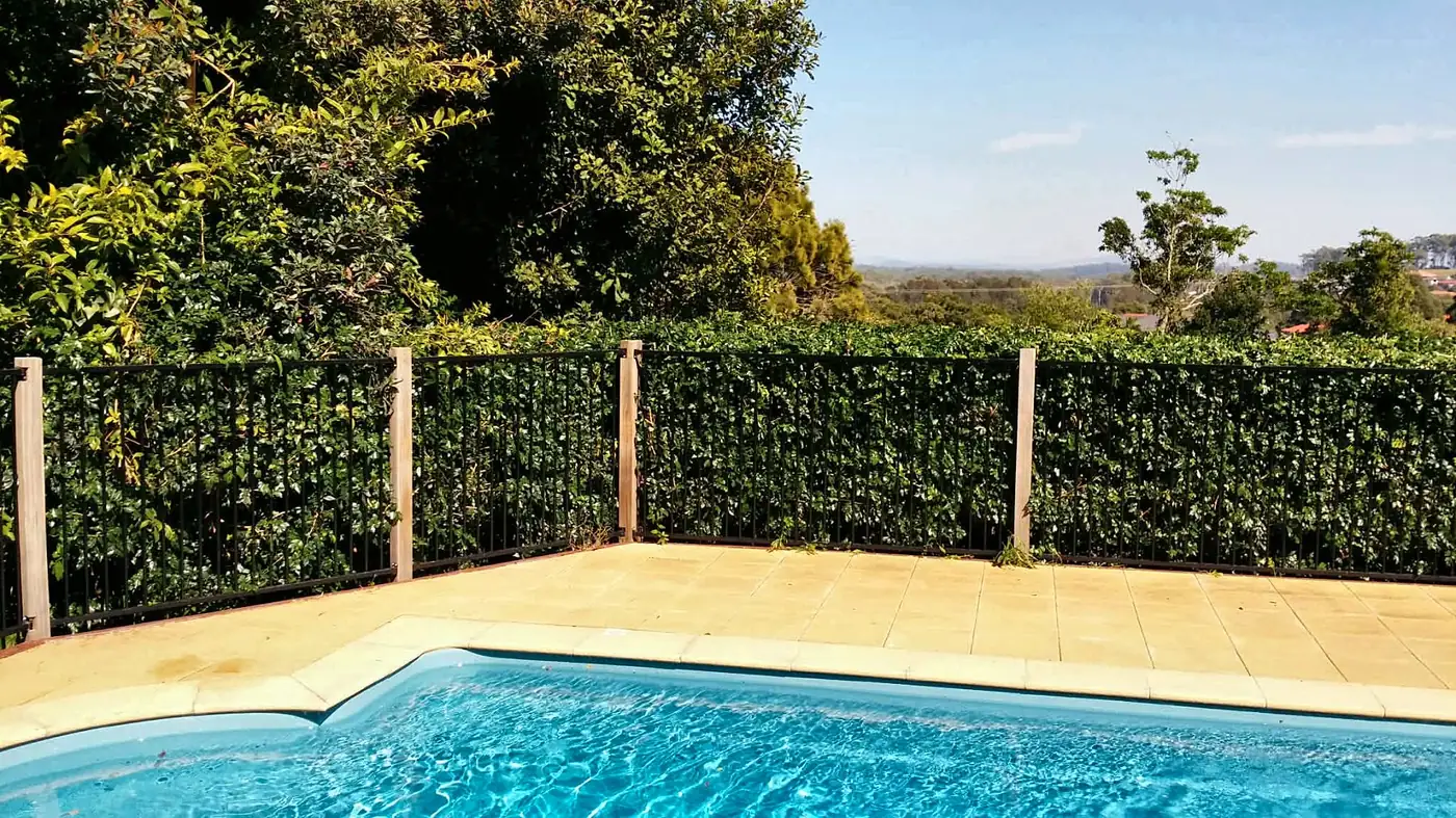 Trimmed pool hedge and clean pool surround